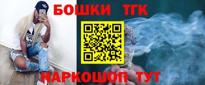 молекула духа Будённовск