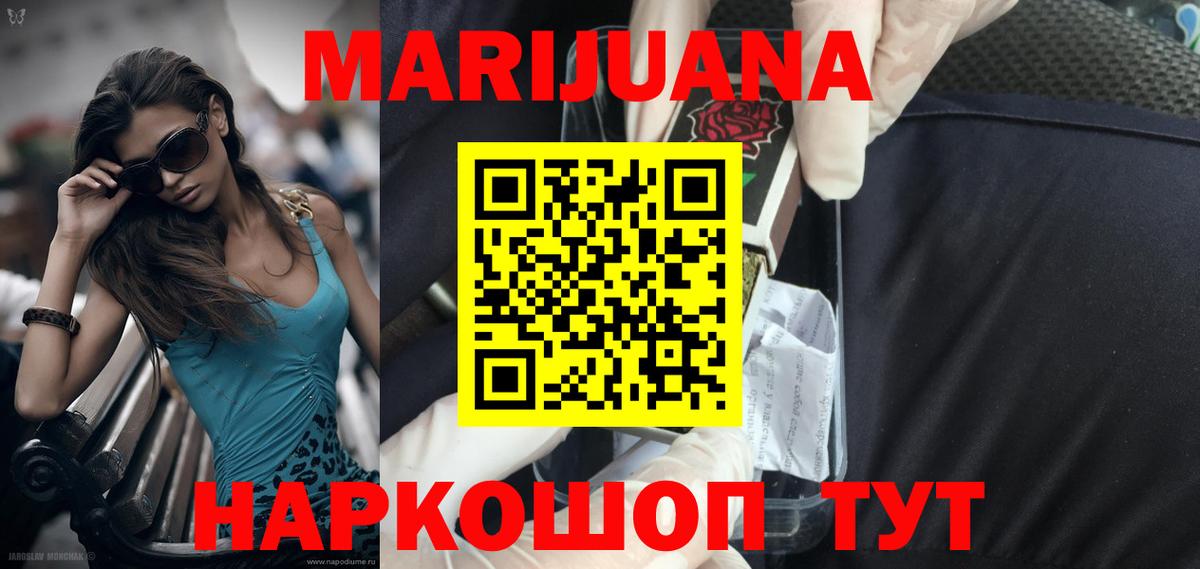 Курчатов  Марихуана план  Марихуана Ganja  Канабис индика  Вход с VPN 